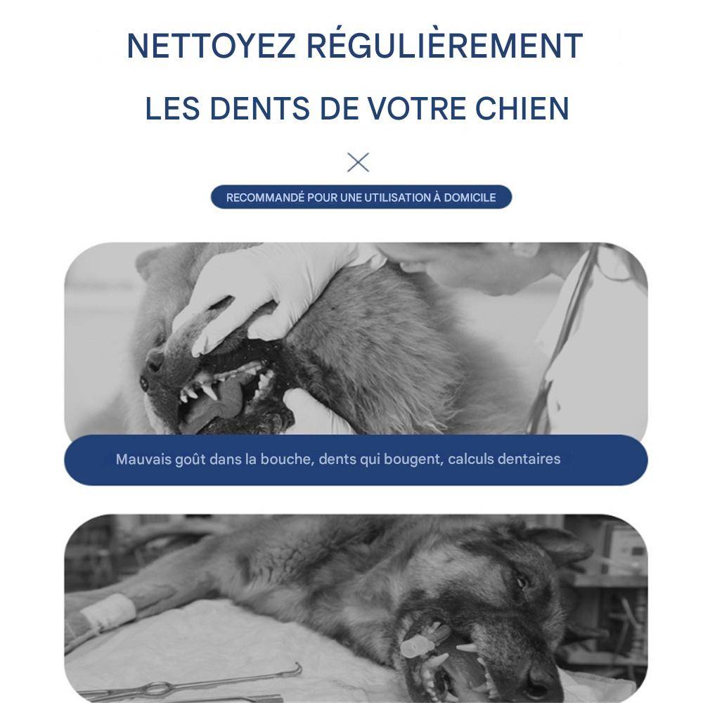 Brosse à dents à ultrasons pour nettoyer le tartre dentaire DtopbuyAge - Image 4