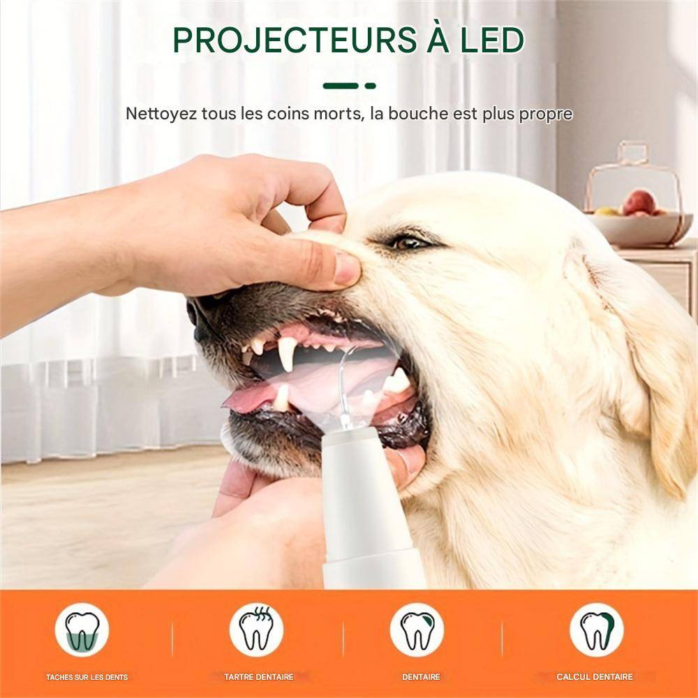 Brosse à dents à ultrasons pour nettoyer le tartre dentaire DtopbuyAge - Image 2