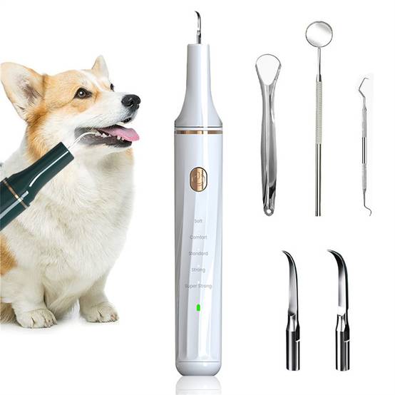 Brosse à dents à ultrasons pour nettoyer le tartre dentaire DtopbuyAge - Image 1