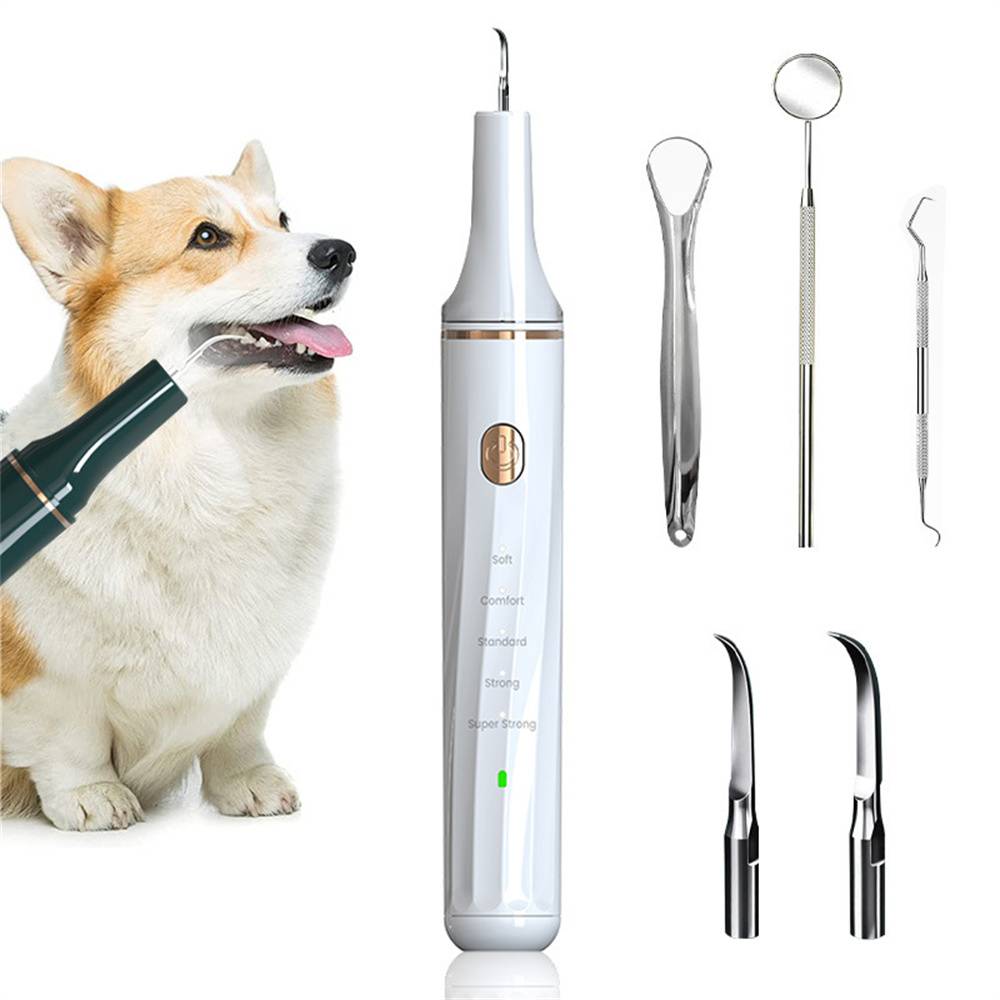 Brosse à dents à ultrasons pour nettoyer le tartre dentaire DtopbuyAge - Image 1
