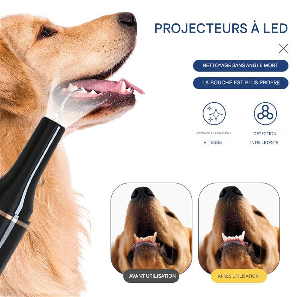 Brosse à dents à ultrasons pour nettoyer le tartre dentaire DtopbuyAge - Image 3