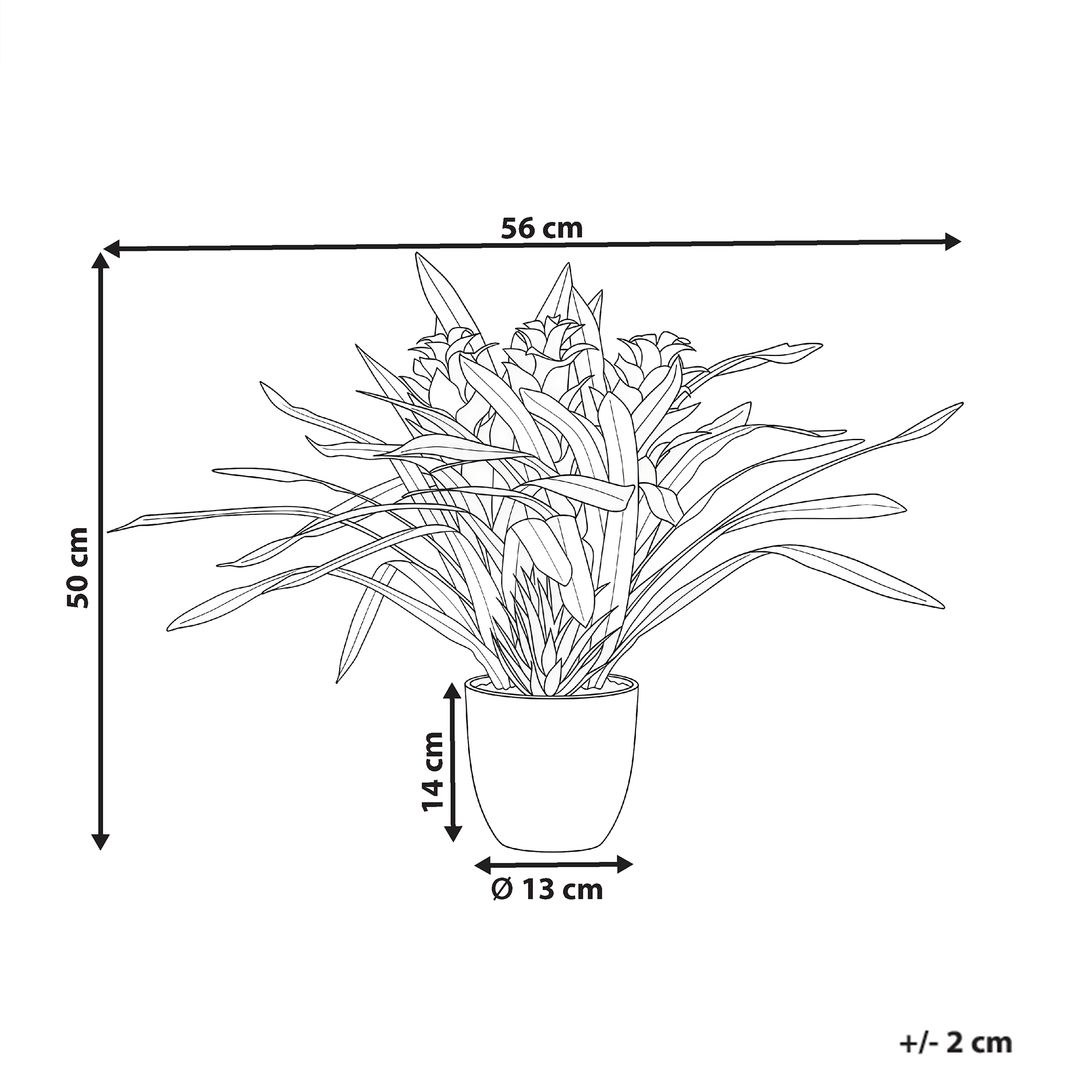 Beliani - Plante artificielle Matière synthétique Vert GUZMANIA ATILLA - 56x56x50- Beliani - Image 3