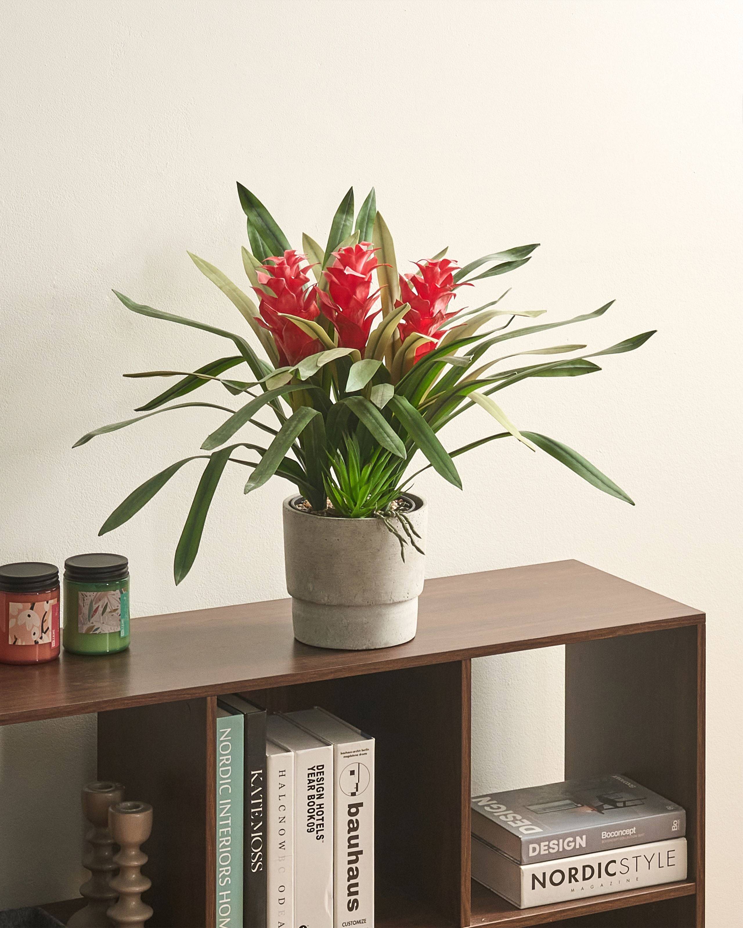 Beliani - Plante artificielle Matière synthétique Vert GUZMANIA ATILLA - 56x56x50- Beliani - Image 1