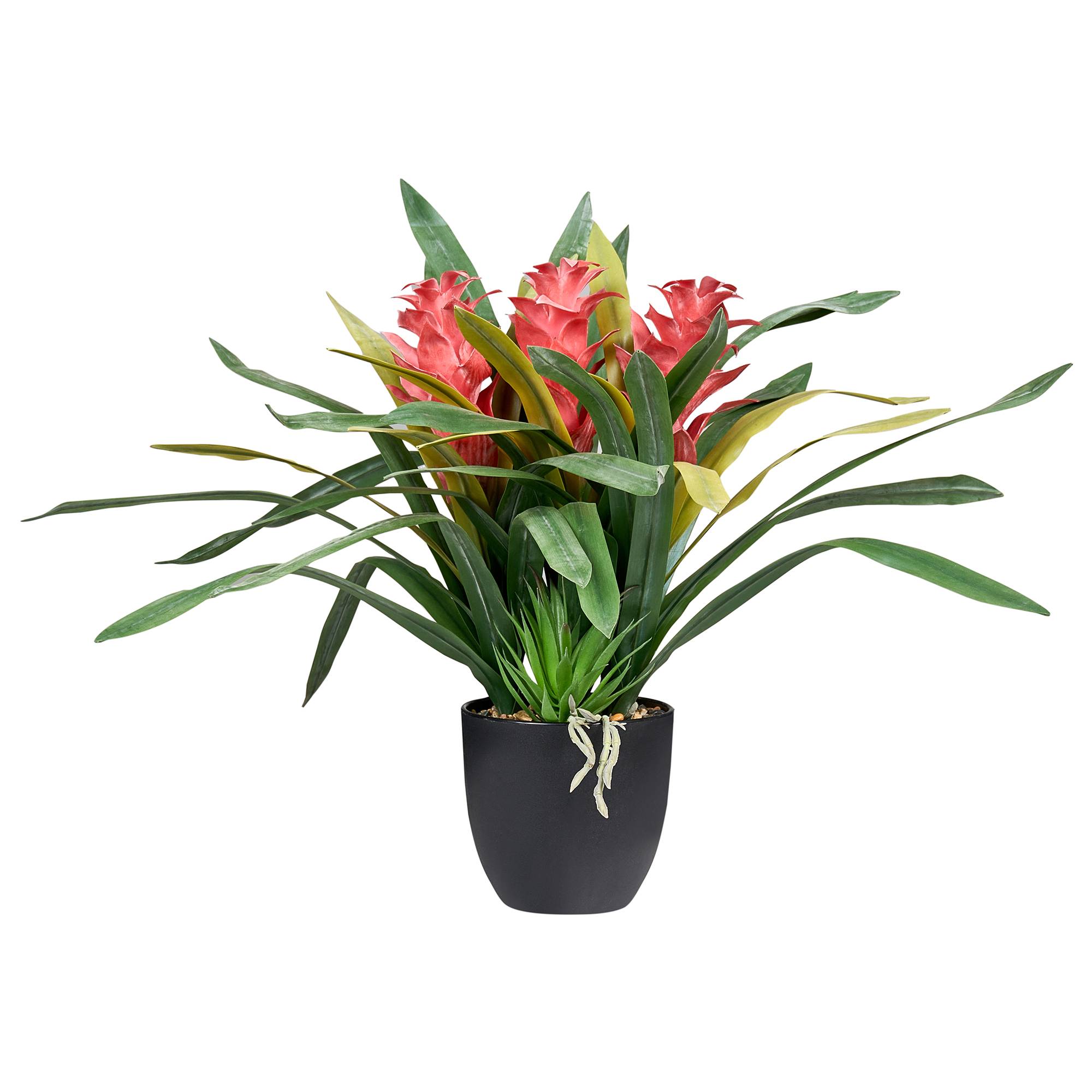 Beliani - Plante artificielle Matière synthétique Vert GUZMANIA ATILLA - 56x56x50- Beliani - Image 2