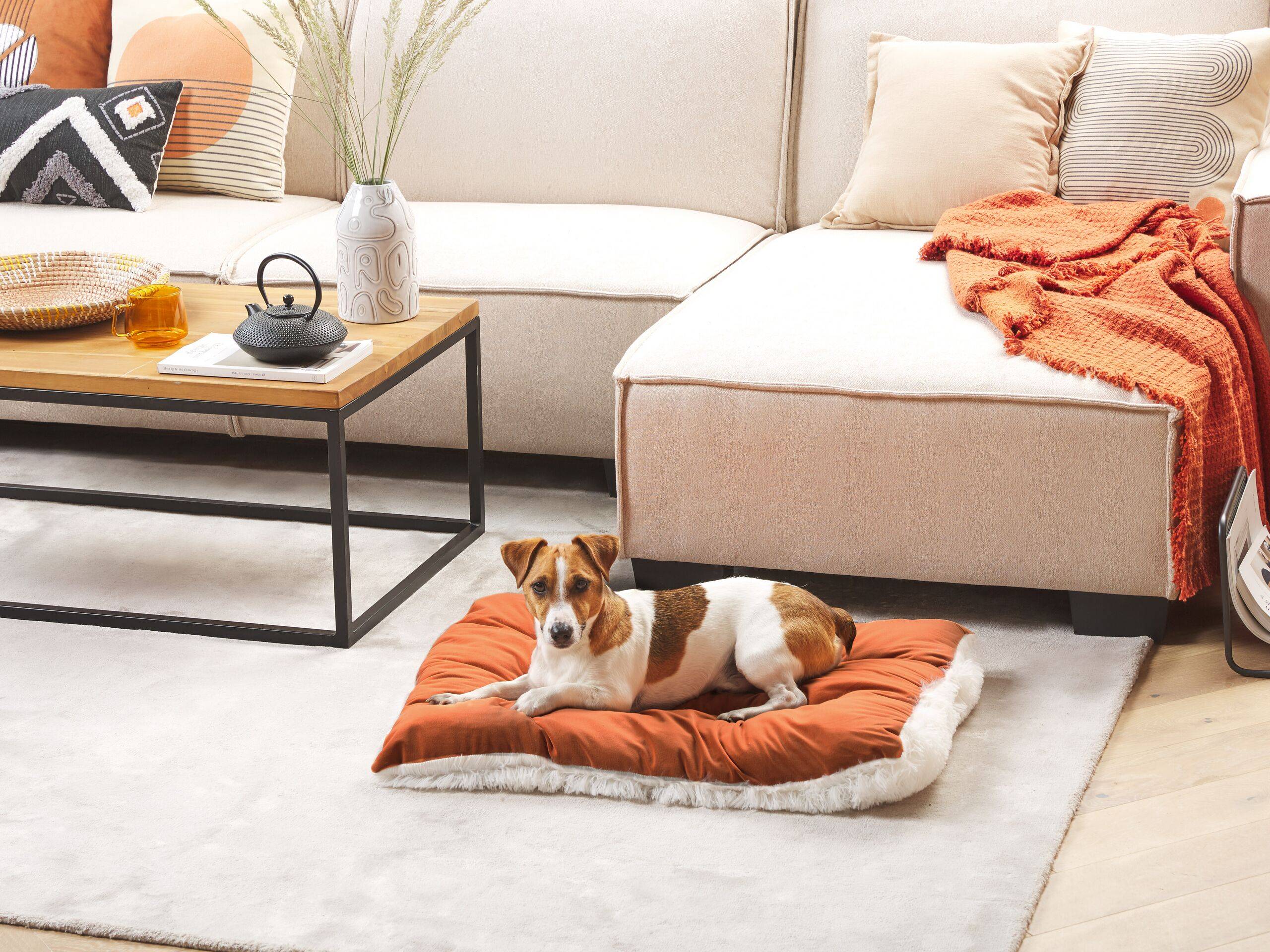 Beliani - Lit pour animal Velours Orange ERGANI - 70x55x10- Beliani - Image 1