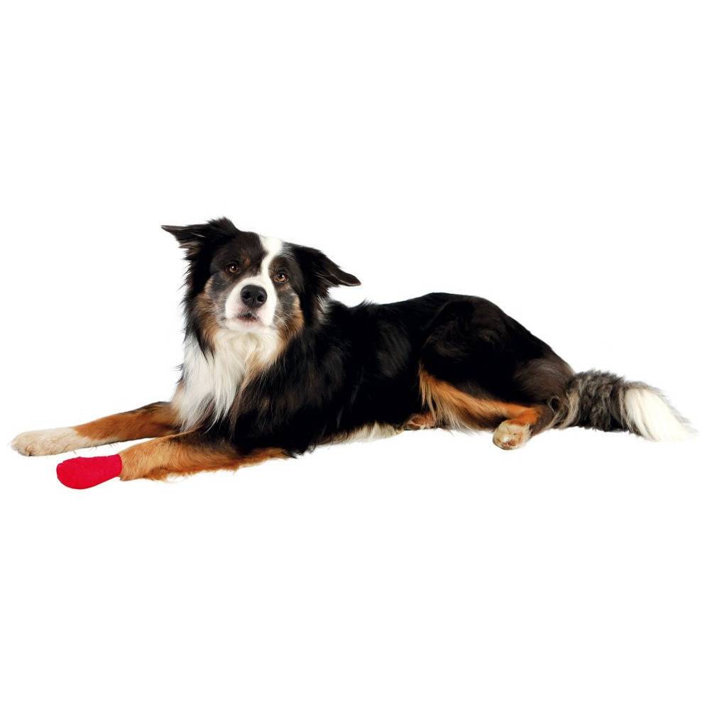 Animallparadise - animallparadise - 4 Bandes pour soin 5 cm X 4.5 m pour chien. - Imagen 2