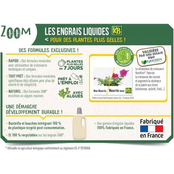 KB Engrais Rapide Cactus Bonsaï Succulentes Et Autres Plantes Grasses 250ml - Image 3