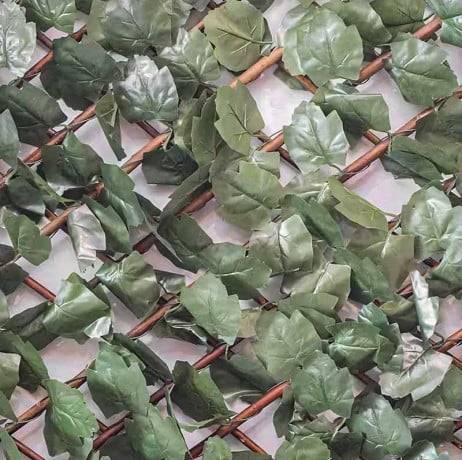 James Grass - France Green - Treillis extensible feuilles de lierre, Long 18 m, Hauteur 1 m - Imagen 3