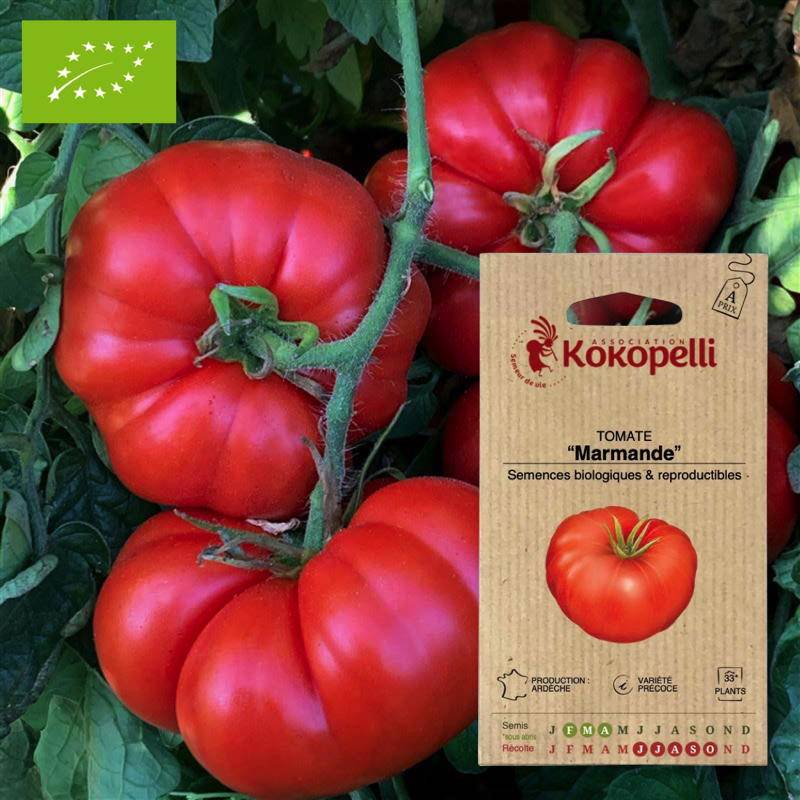Tomate Marmande- Graines bio à semer - Imagen 1