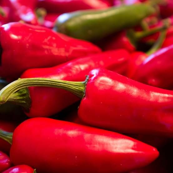 Piment d'Espelette - Piment Basque Gorria le sachet de 25 graines environ