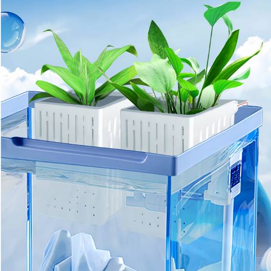 2 supports suspendus pour plantes DtopbuyAge d aquarium robustes blanc DtopbuyAge - Image 5