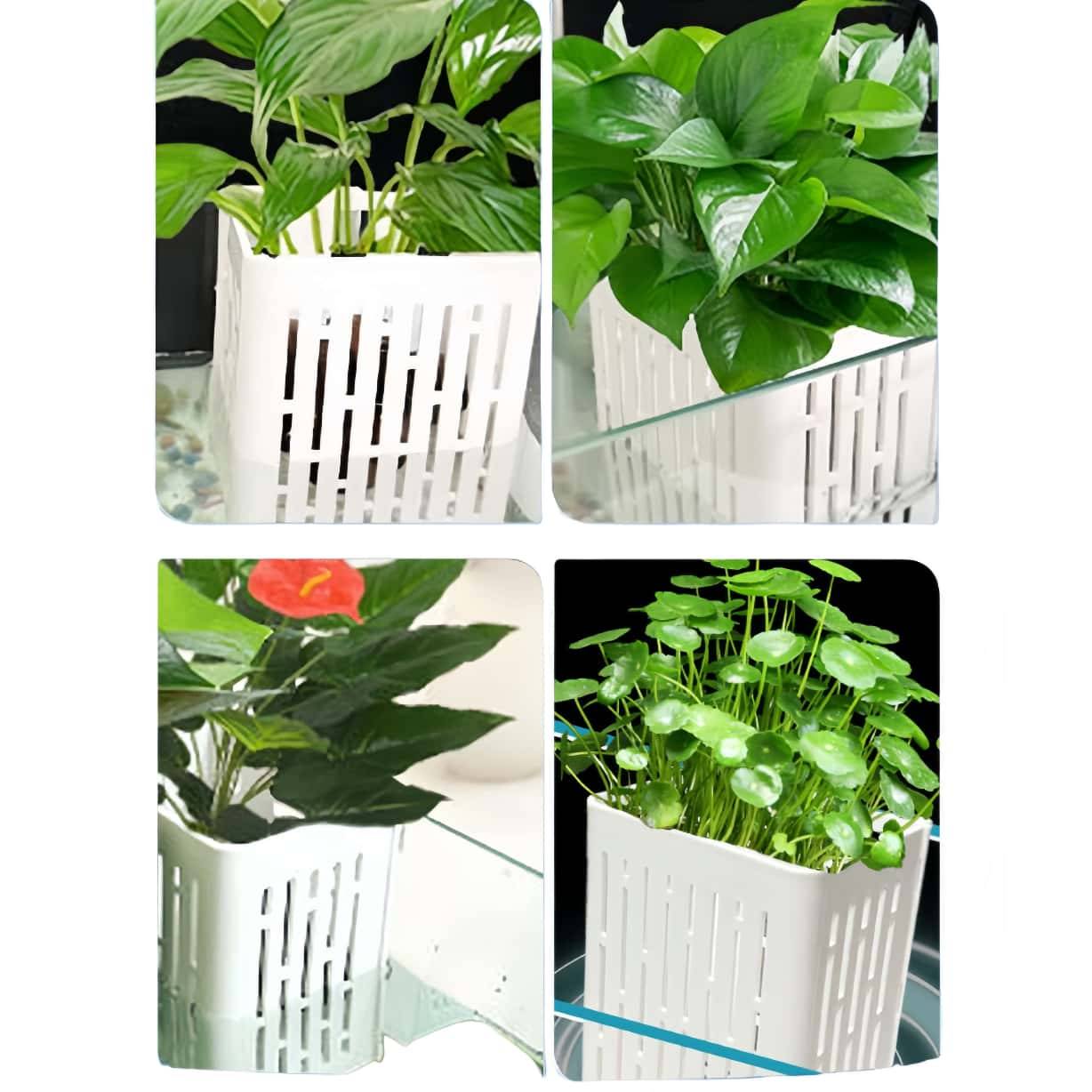 2 supports suspendus pour plantes DtopbuyAge d aquarium robustes blanc DtopbuyAge - Image 4