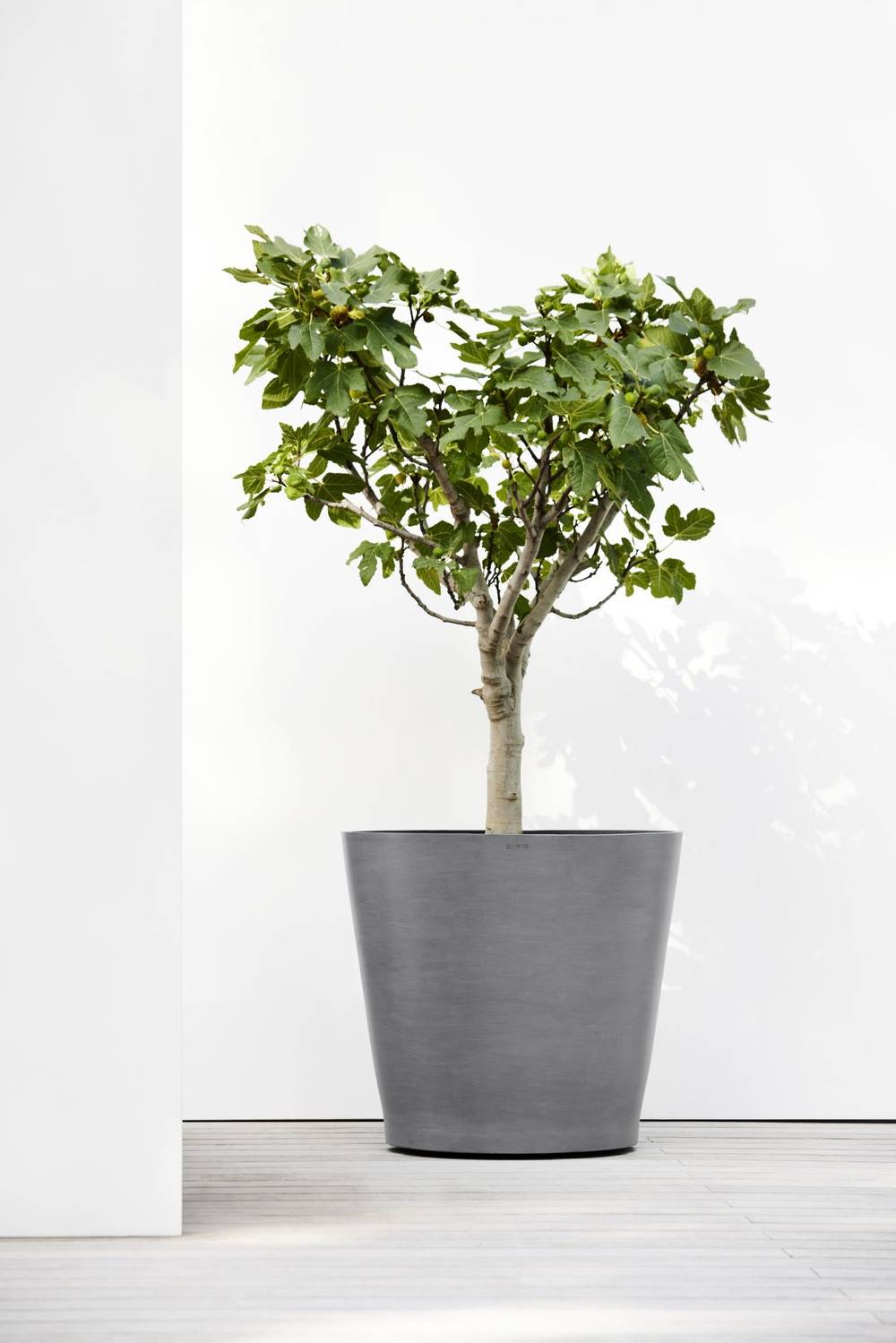 Ecopots - Grand pot sur roues Amsterdam 80 Gris - Ø 80 x H. 75 cm - 300 L ECOPOTS - Imagen 3