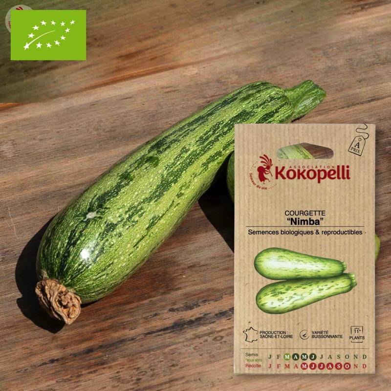 Courgette Nimba- Graines bio à semer - Imagen 1