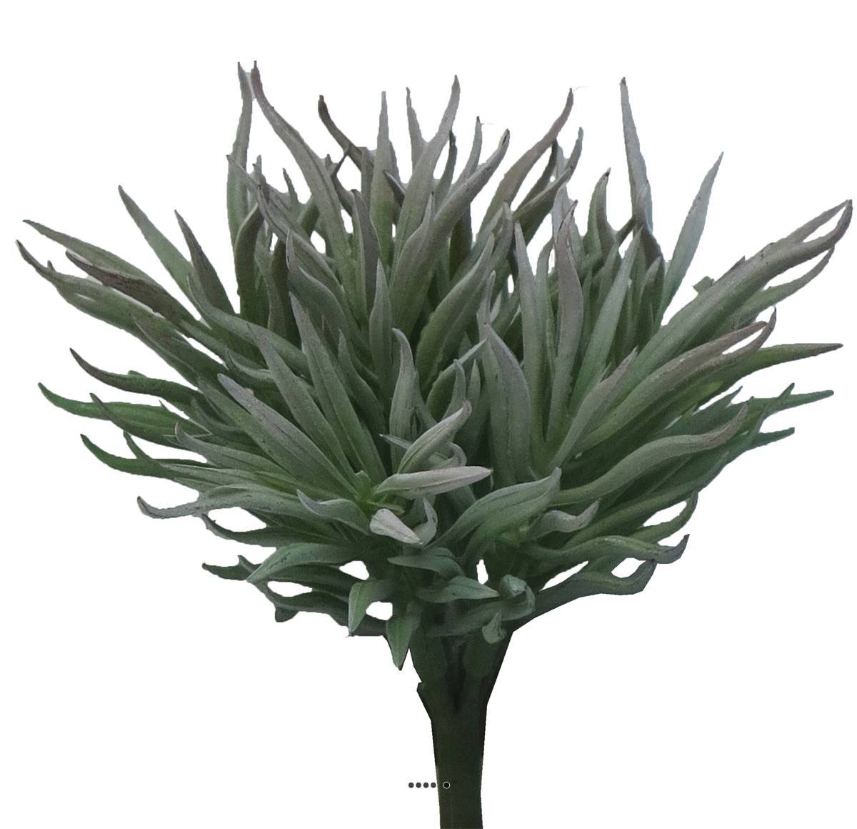 Artificielles - Séneçon de Barberton factice en piquet, H15cm, D16cm, Vert Aloé - BEST - couleur: Vert aloe - Imagen 2