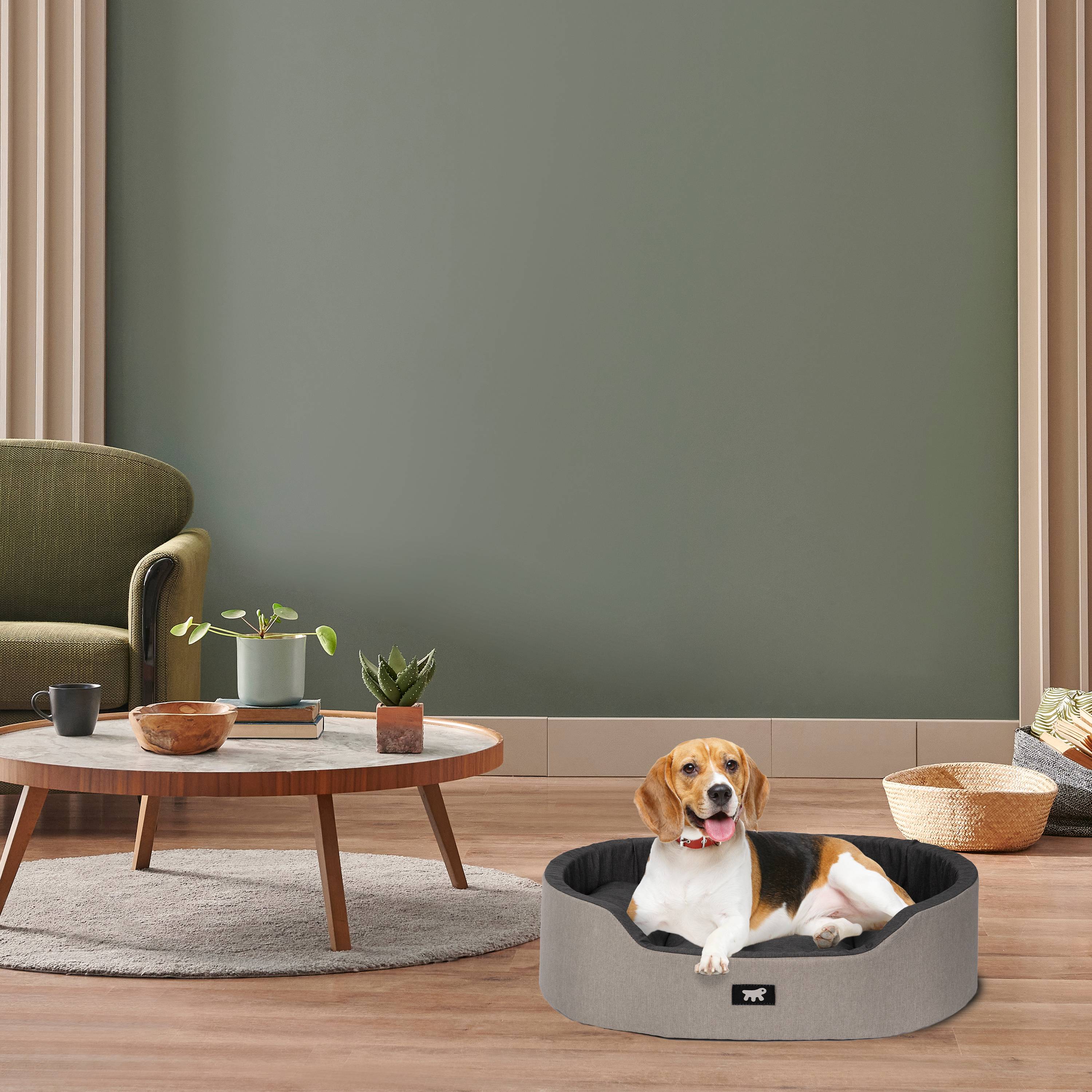 Ferplast - Ferplast Panier Chien Dandy, Coussin Amovible et Lavable, Housse en Coton avec Rembourrage Doux, Idéale Également comme Niche pour Chat, 65 x 46 x H - Imagen 3