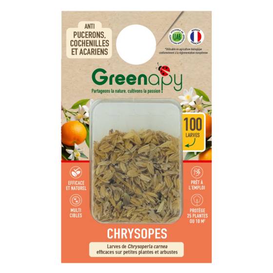 Biotop - Biotop - 100 larves chrysopes anti-pucerons, cochenilles et acariens - Image 1