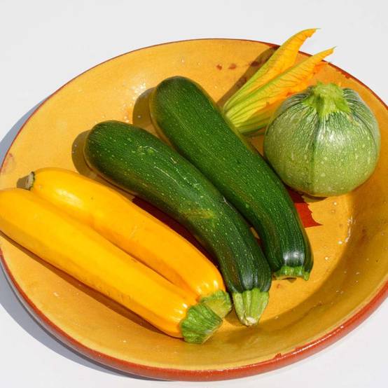 Engrais tomates et légumes du soleil - Agro Sens - Seau 4 kg - Image 8