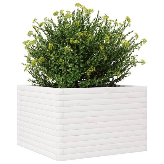 Jardiniere plastique Randel Vert 70 X 70 X 45,5 cm 1-personnes - P87211V - Image 4