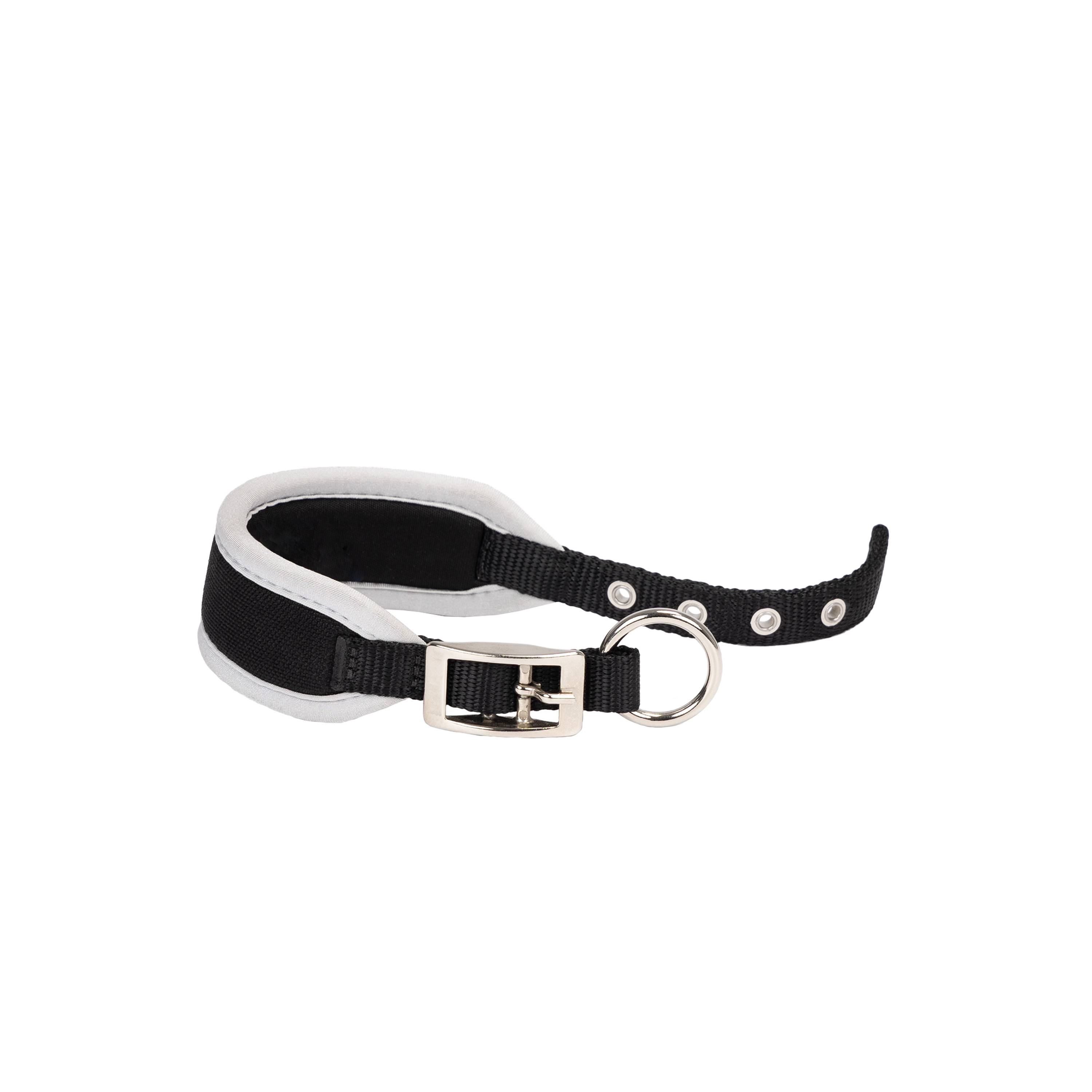 Ferplast - Ferplast Collier Chien ERGOCOMFORT C15/33, Collier pour lévrier, Rembourrage doux, Argent - Imagen 1