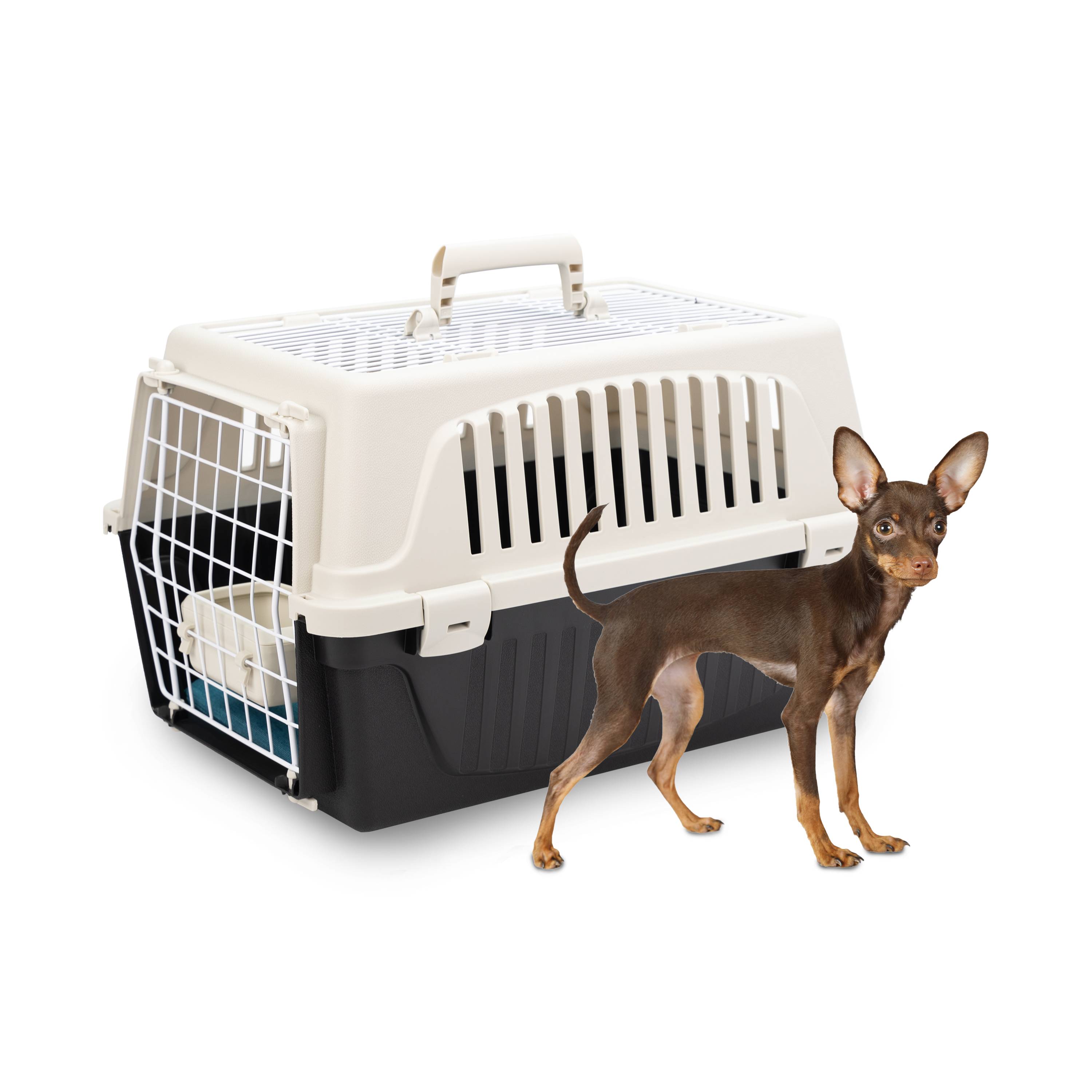 Ferplast - Ferplast Caisse de Transport Chat, Cage de Transport pour Chiens Petits et Chats jusqu'à 5 Kg, Toit Ouvrable, avec Coussin et Gamelle, Fentes - Imagen 7