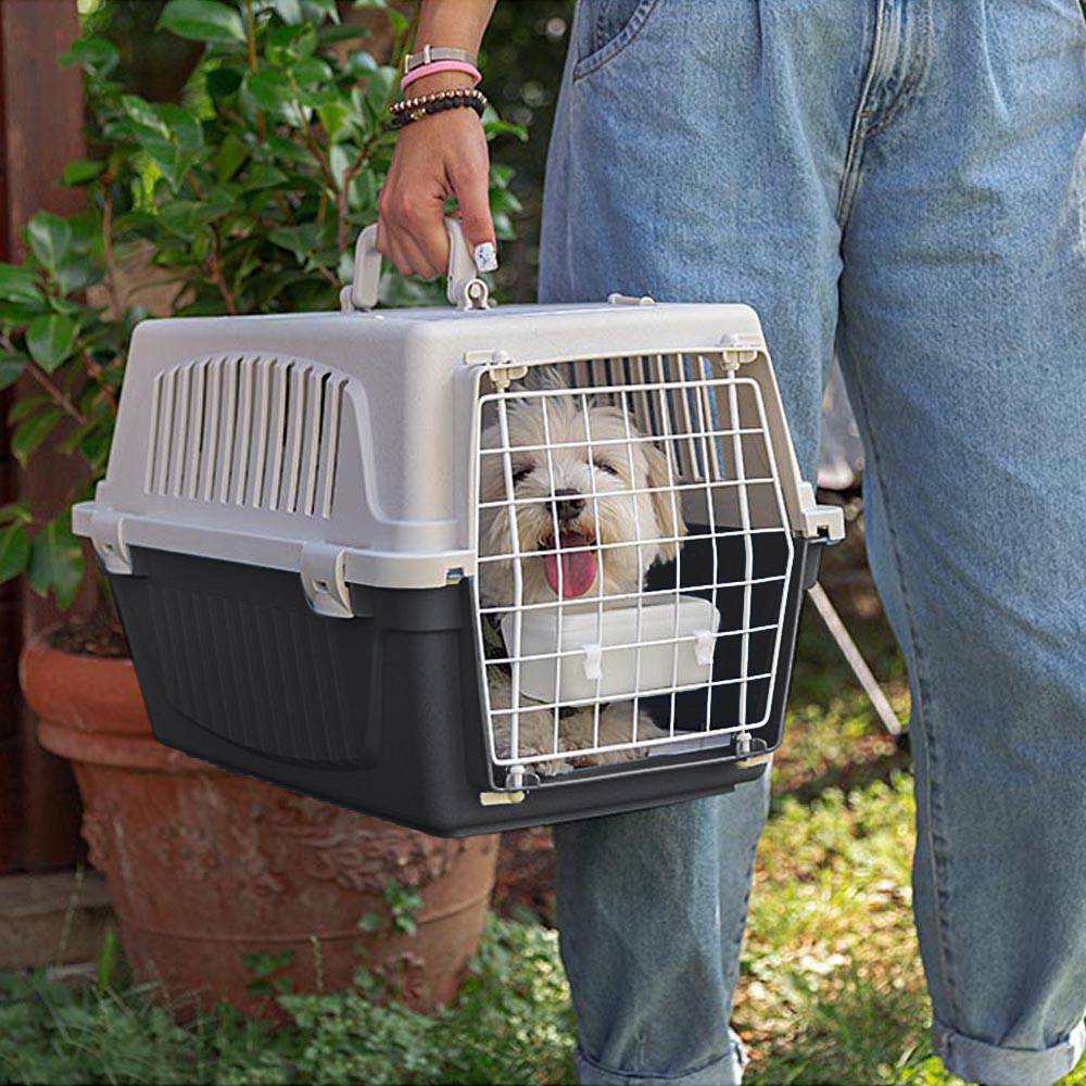 Ferplast - Ferplast Caisse de Transport Chat, Cage de Transport pour Chiens Petits et Chats jusqu'à 5 Kg, Toit Ouvrable, avec Coussin et Gamelle, Fentes - Imagen 3
