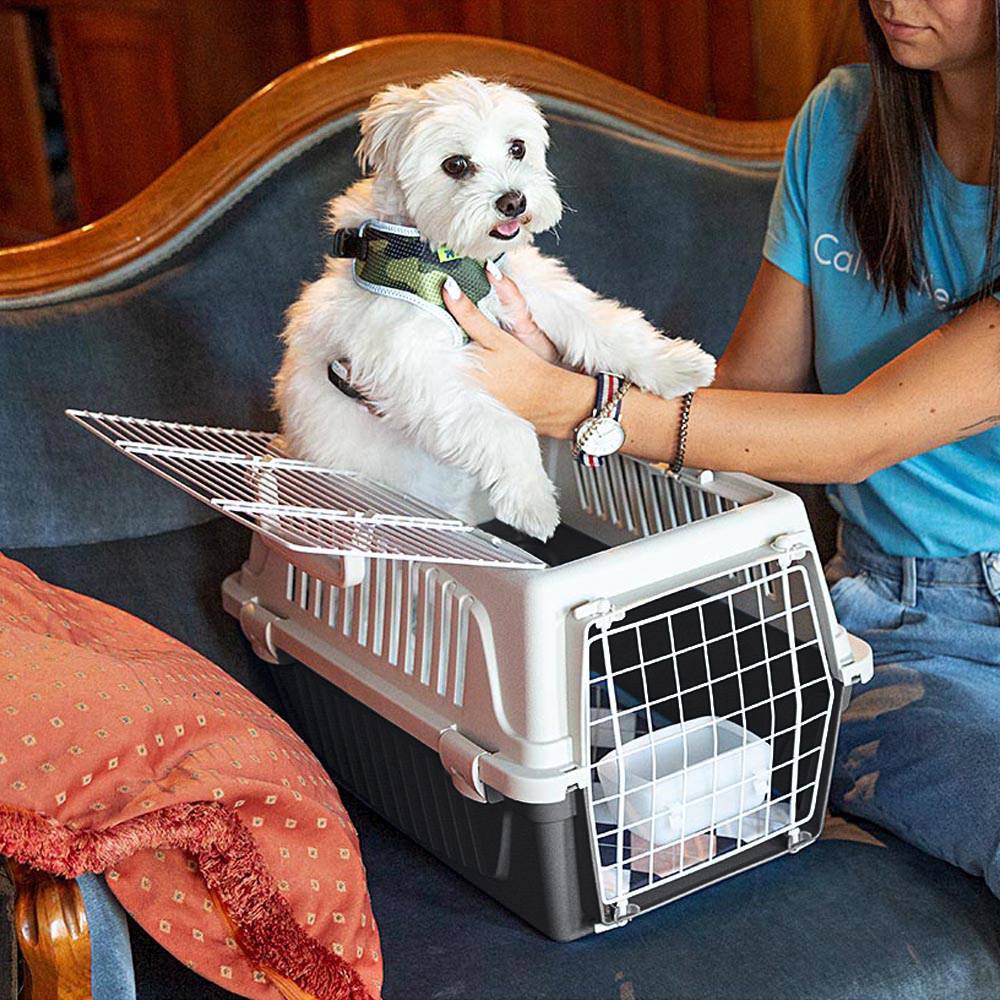 Ferplast - Ferplast Caisse de Transport Chat, Cage de Transport pour Chiens Petits et Chats jusqu'à 5 Kg, Toit Ouvrable, avec Coussin et Gamelle, Fentes - Imagen 4