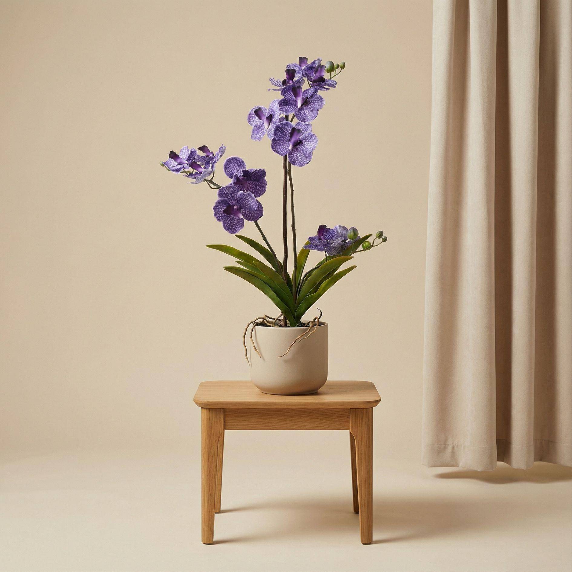 PANGIVO - Orchidée artificielle plastique violet 15 x 15 x 60 cm - PANGIVO - Image 3