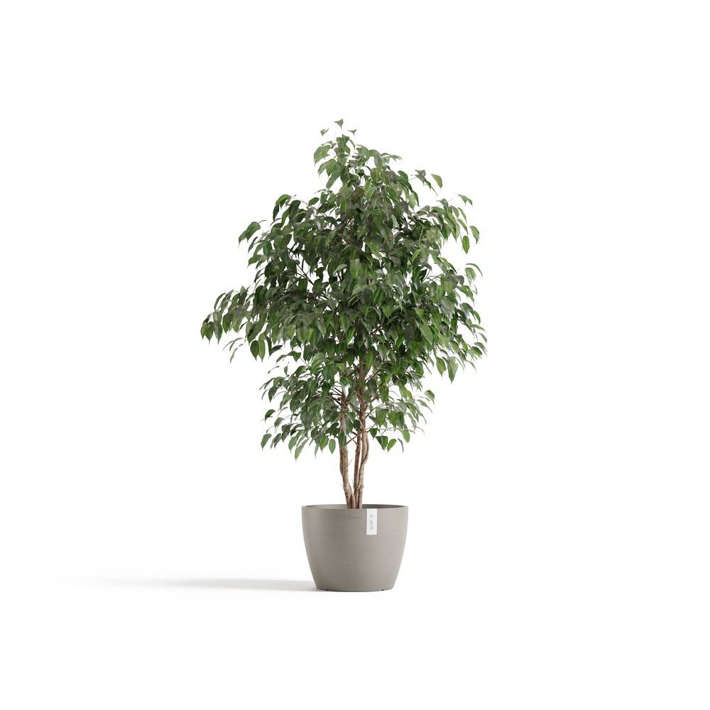 Ecopots - Pot Rond Stockholm 31 Taupe - Ø 31 x H. 23,3 cm - 12,9 L ECOPOTS - Imagen 1