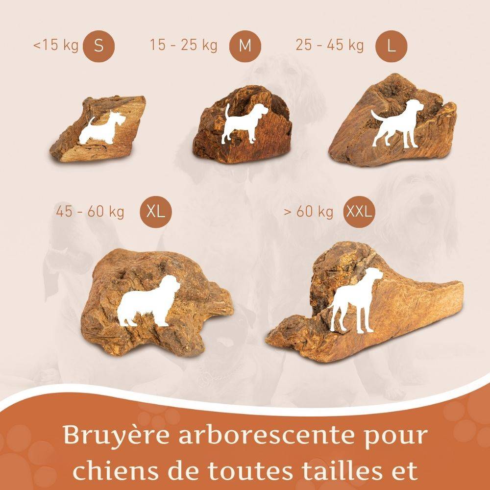 Wildfang - Wildfang - Pack chiots « Bienvenue aux chiens errants » - grandes races de chiens à partir de 25 kg - Image 7