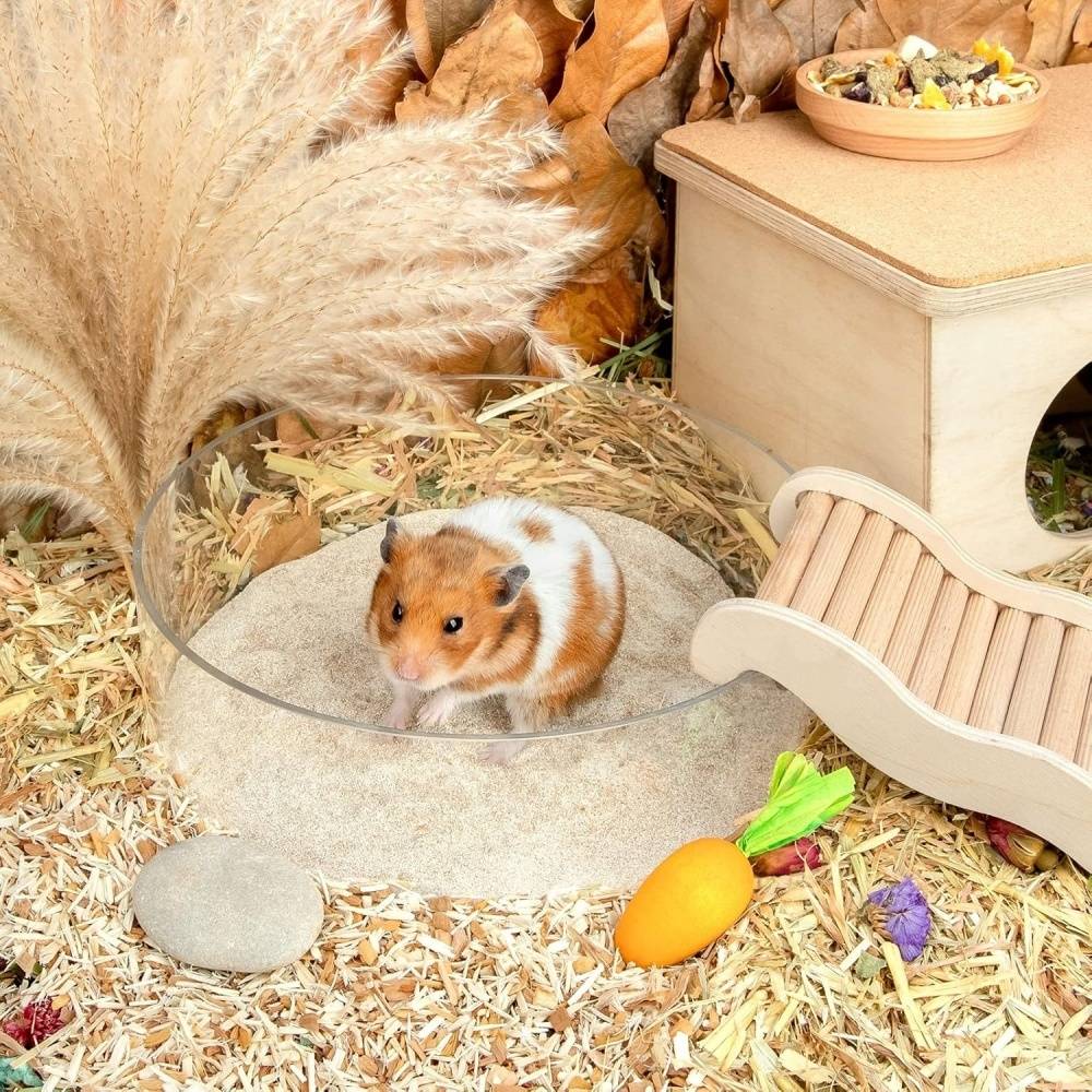 DtopbuyAge - Sable de bain sans poussière pour hamsters DtopbuyAge - Image 4