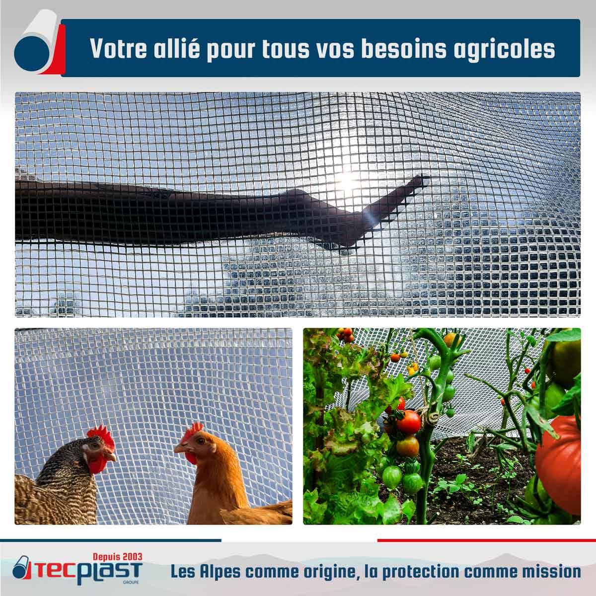 Bâche Agricole 4x10 m TR170AG - Bâche Armée Transparente - Haute Qualité - Imperméable - Résistance Anti-UV TECPLAST - Imagen 2
