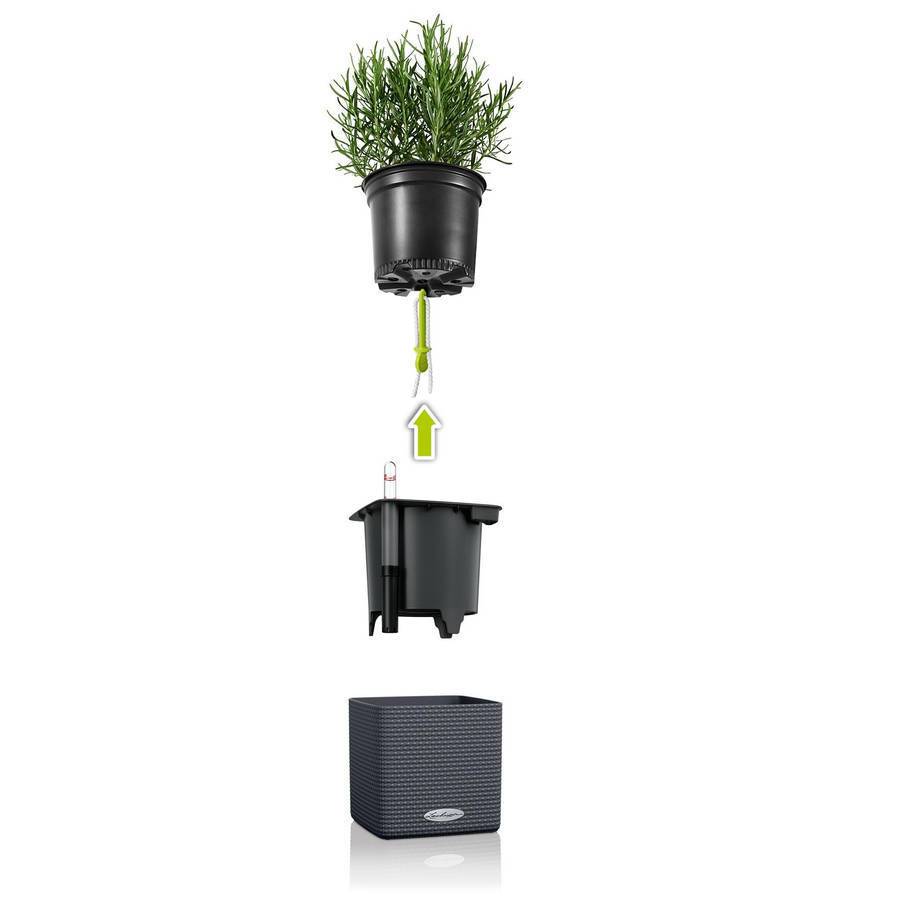 Lechuza - Cube Color Green Wall Home Kit Color, gris ardoise Lechuza - Imagen 3