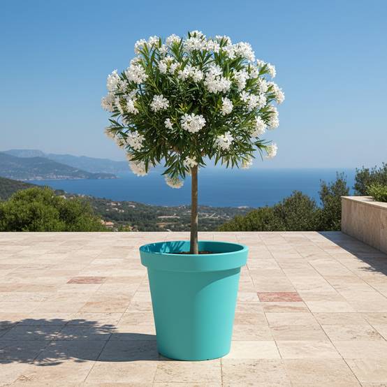 Pot de fleurs 200l delight - plast'up rotomoulage - Image 4