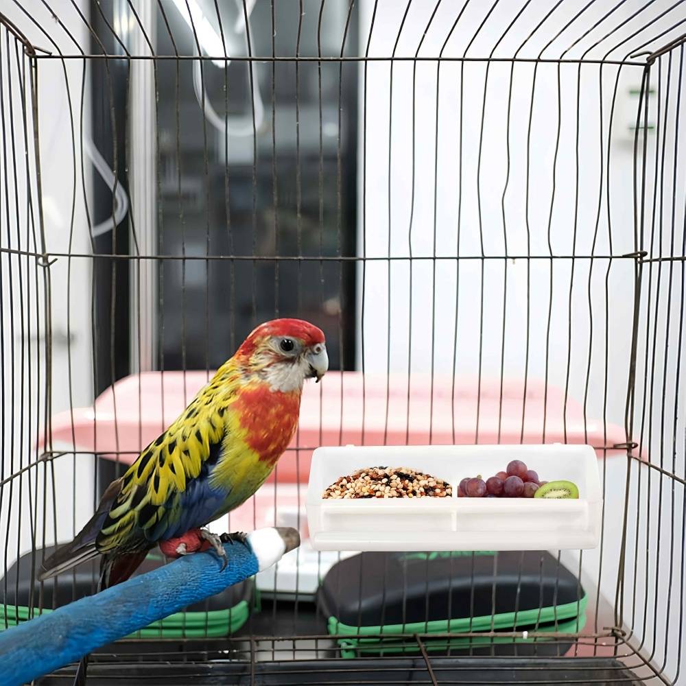 IntiMeg - Lot de 2 gamelles suspendues pour oiseaux IntiMeg - Image 5