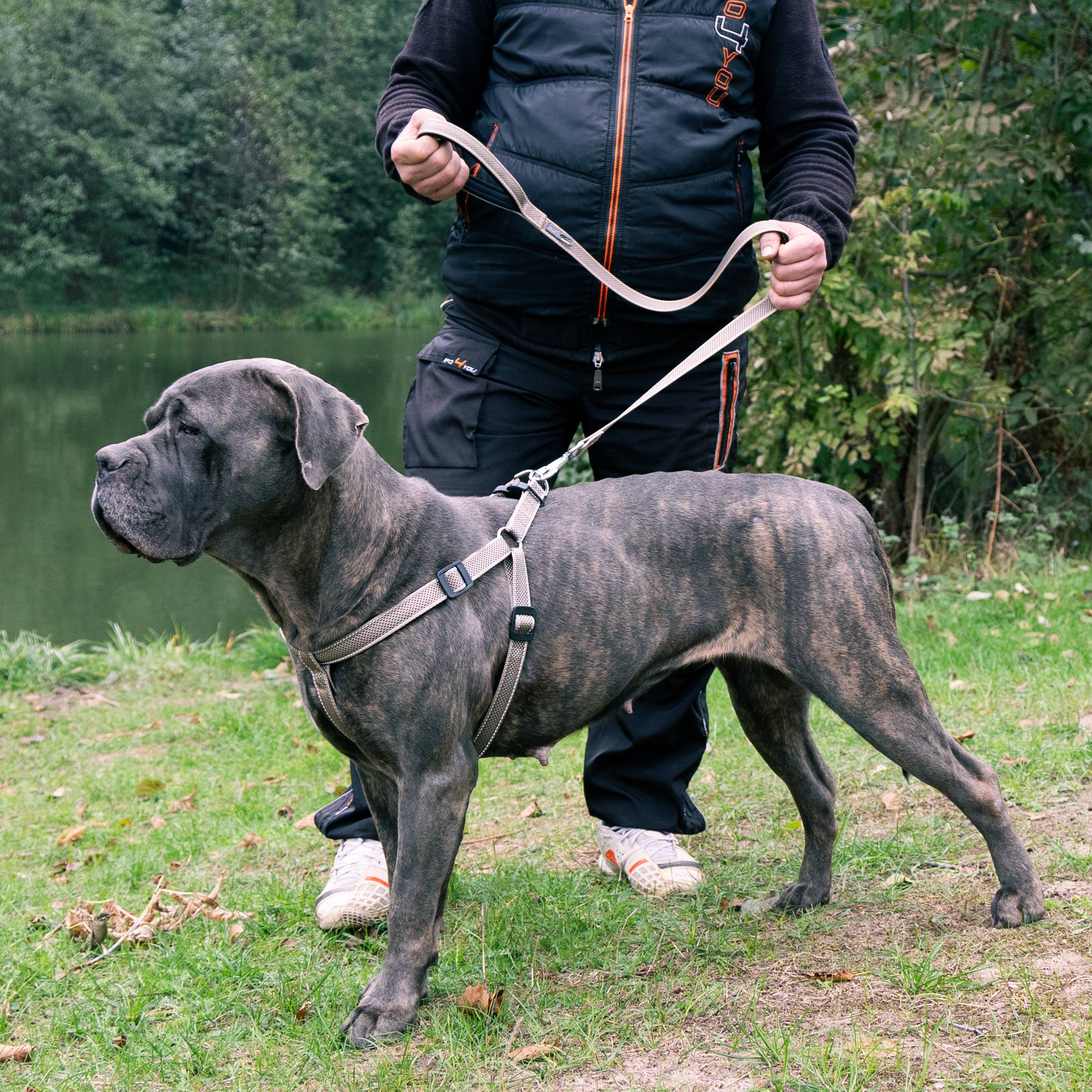 Ferplast - Laisse Réfléchissante pour Chiens DAYTONA DELUXE G25/120, Support Sachets Hygieniques, Poignée Rembourrée, Noir-Vert - Imagen 3