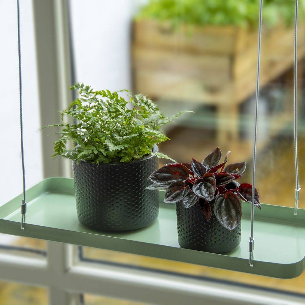 Esschert Design - Support à plantes rectangulaire à suspendre vert Longueur de 38 cm Esschert's Garden - Imagen 2