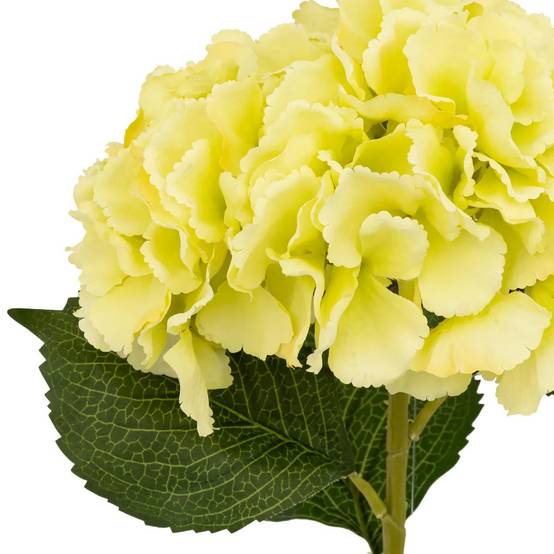 Tige Hortensia Artificielle "Serata" 83cm Vert Clair - Image 2