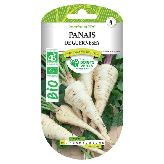 Graines de panais de Guernesey BIO Les Doigts Verts - Image 1