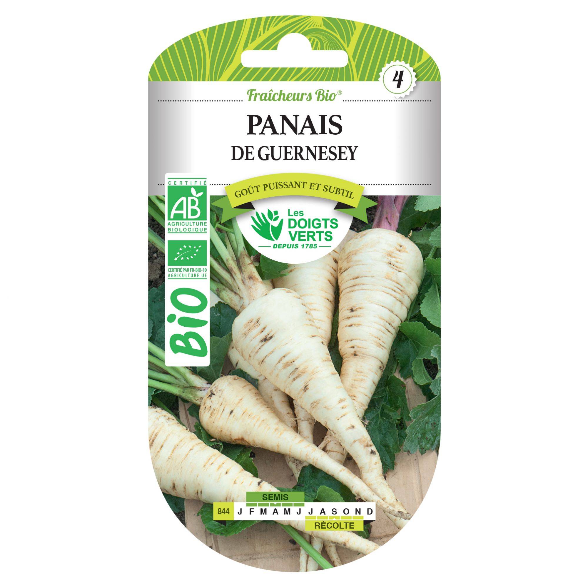 Graines de panais de Guernesey BIO Les Doigts Verts - Image 1