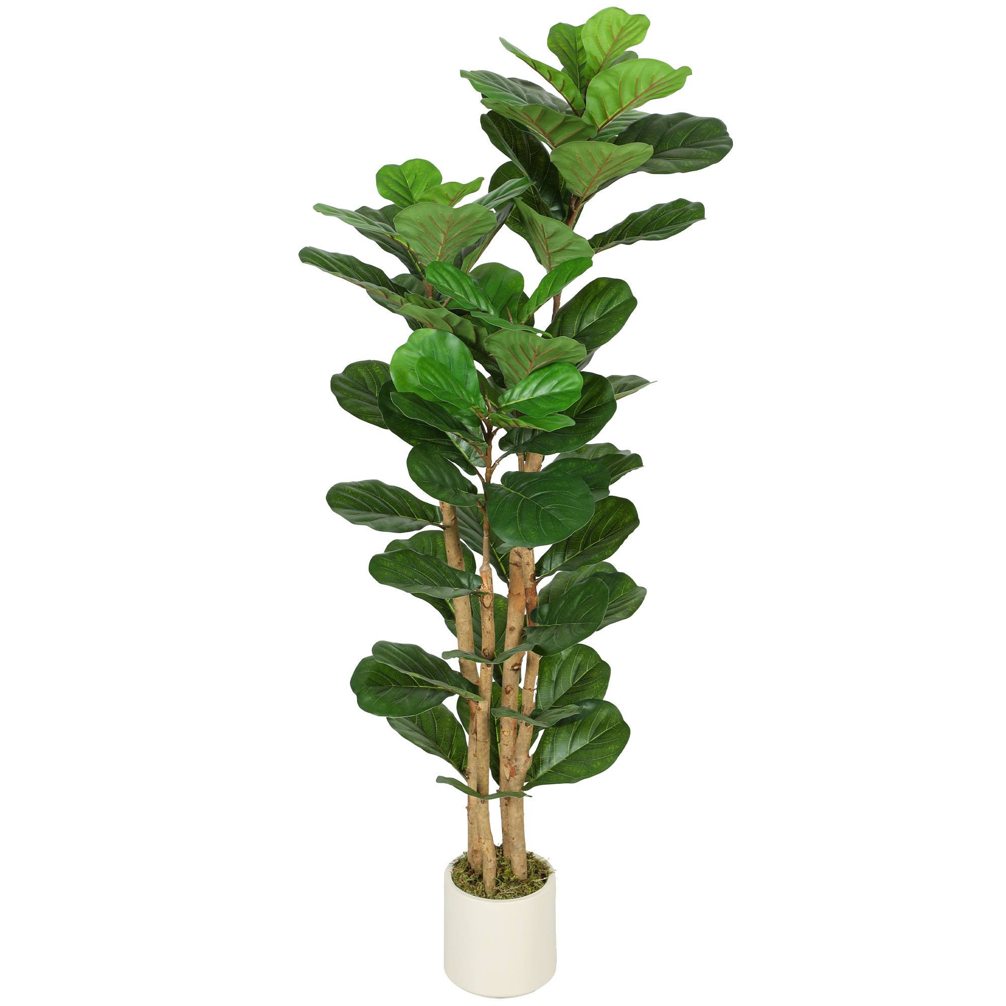 Sans Marque - Figuier lyre artificiel, plante artificielle à 71 feuilles, tronc en bois massif, pot, 50 x 50 x 150 cm, vert - Image 2