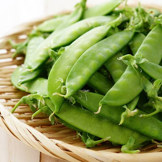 Promesse de Fleurs - Pois demi-ramant Normand mangetout - Pisum sativum le sachet de 250-350 graines environ (100g)