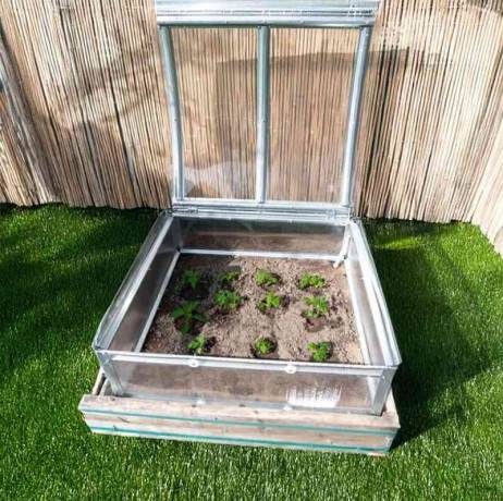 Mini serre pour semis en polycarbonate - Image 2