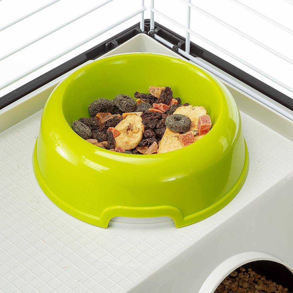 Ferplast - FERPLAST Cage pour Rongeurs CASITA 80 pour Cochons d'Inde, Cochons d'Inde, en Métal, Accessoires inclus : Mangeoire, Abreuvoir, Abreuvoir, Maison. - Imagen 8