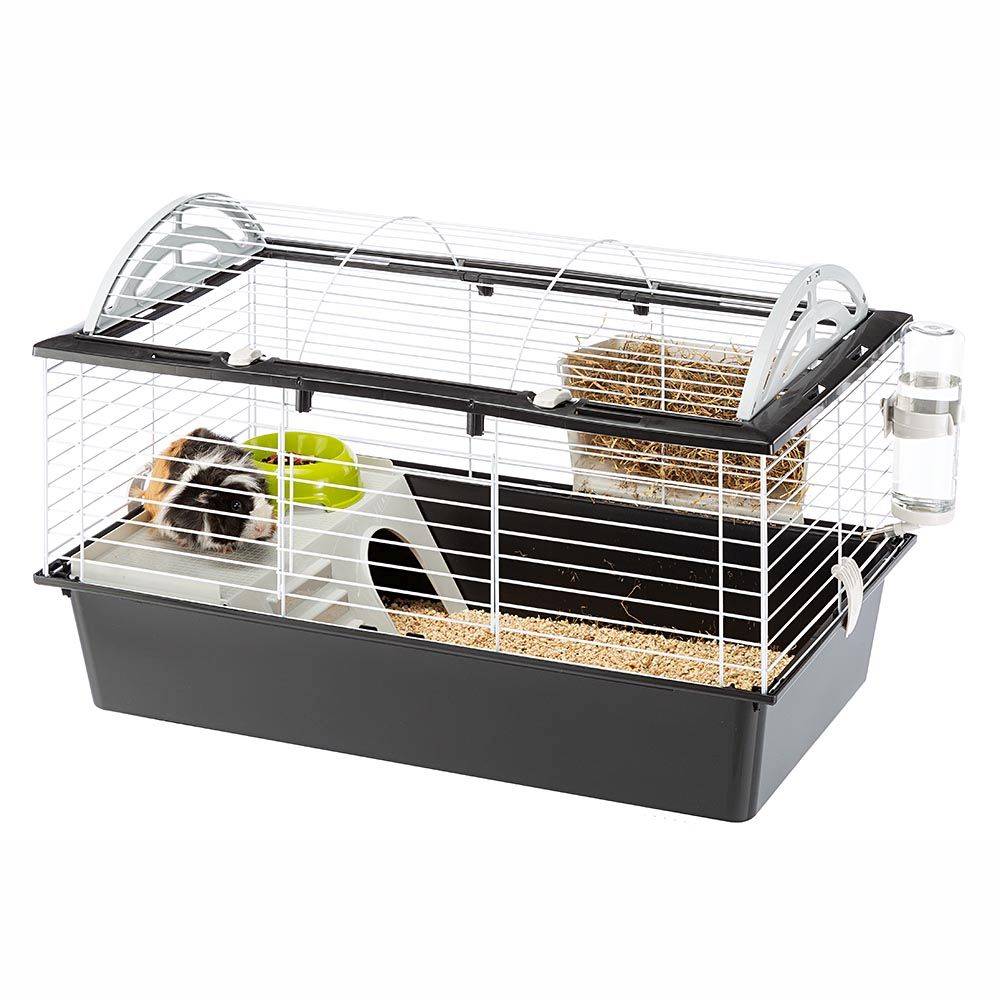 Ferplast - FERPLAST Cage pour Rongeurs CASITA 80 pour Cochons d'Inde, Cochons d'Inde, en Métal, Accessoires inclus : Mangeoire, Abreuvoir, Abreuvoir, Maison. - Imagen 6
