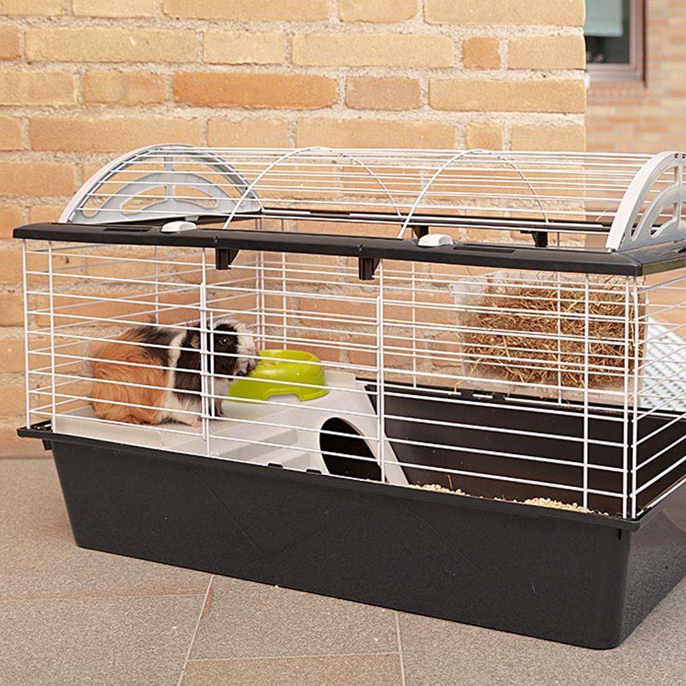 Ferplast - FERPLAST Cage pour Rongeurs CASITA 80 pour Cochons d'Inde, Cochons d'Inde, en Métal, Accessoires inclus : Mangeoire, Abreuvoir, Abreuvoir, Maison. - Imagen 3