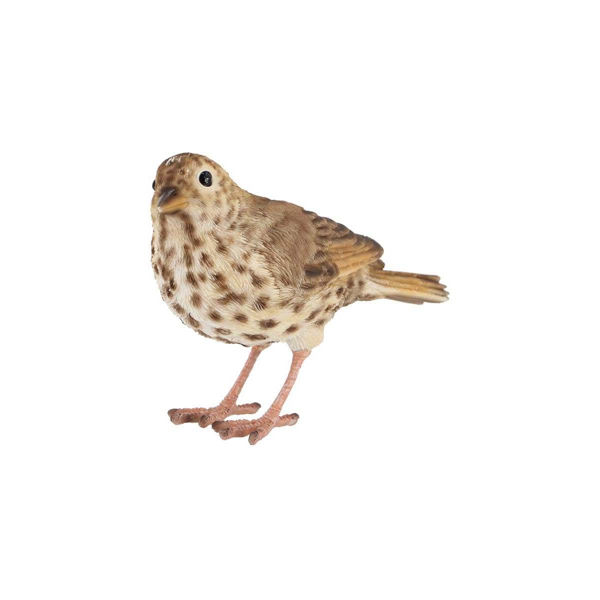 Esschert Design - Oiseau décoratif extérieur en polyrésine Grive musicienne True To Nature - Imagen 1