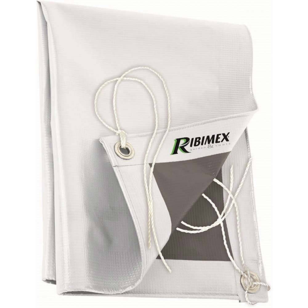 Ribimex - Bâche blanche PVC 2x3 m 300 g/m2