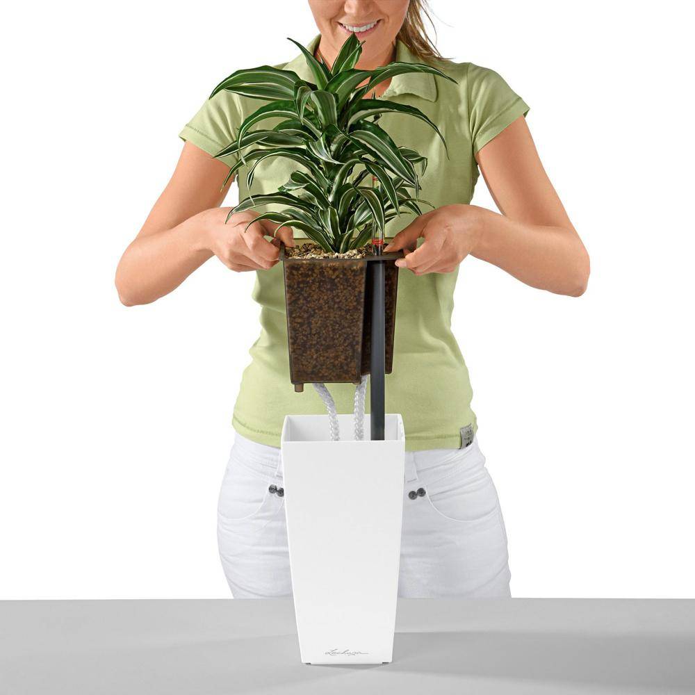 Lechuza - Pot de table Maxi-Cubi - kit complet, blanc brillant 26 cm Lechuza - Imagen 2