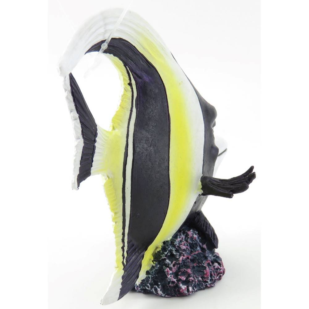 LETO ZANCLE CORNU. 11 x 6 x 11 cm. décoration aquarium - Imagen 9